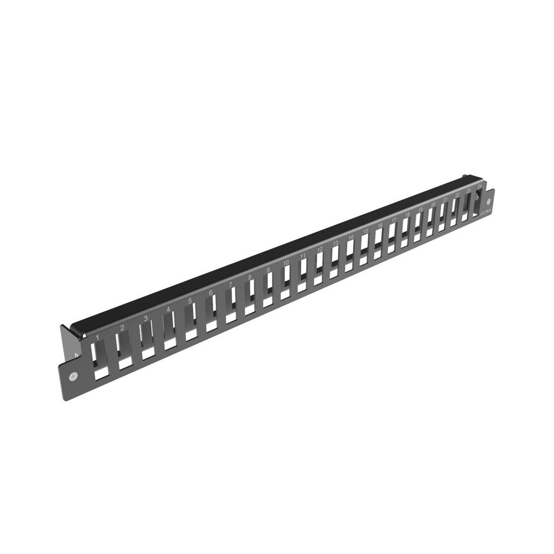 Лицевая панель RNFP24DSCQLC