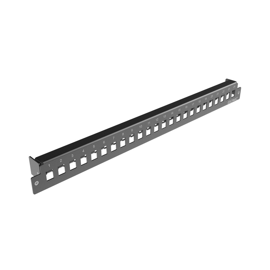 Лицевая панель RNFP24SCDLC
